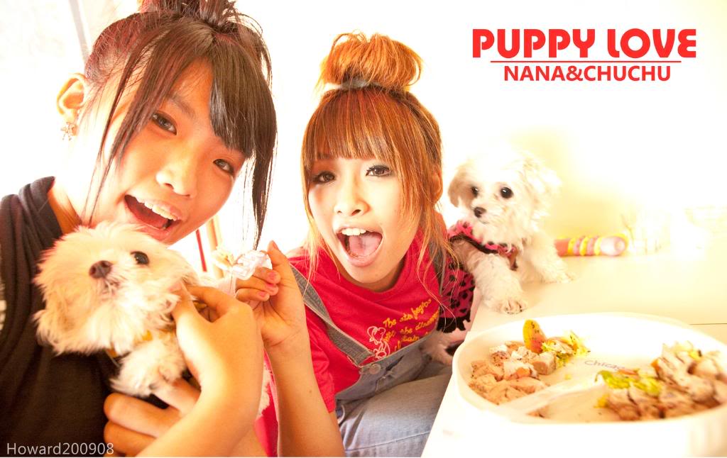 puppylove22