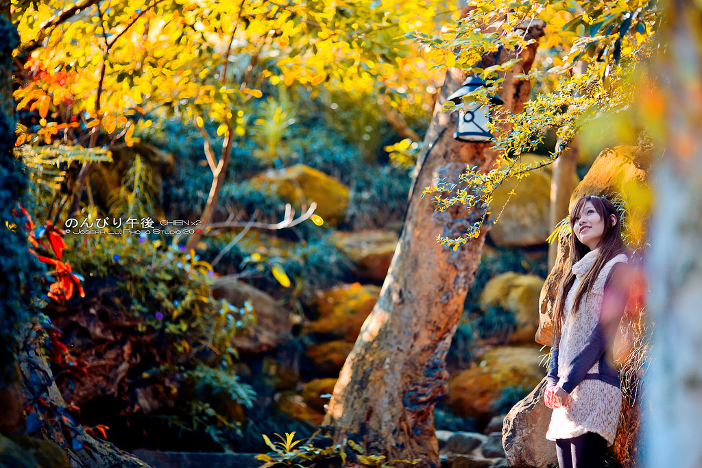 5050369351_1db84365f1_b