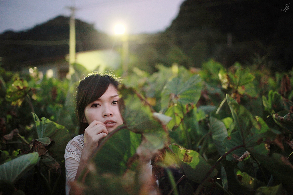 5044085379_93c21b8f49_o