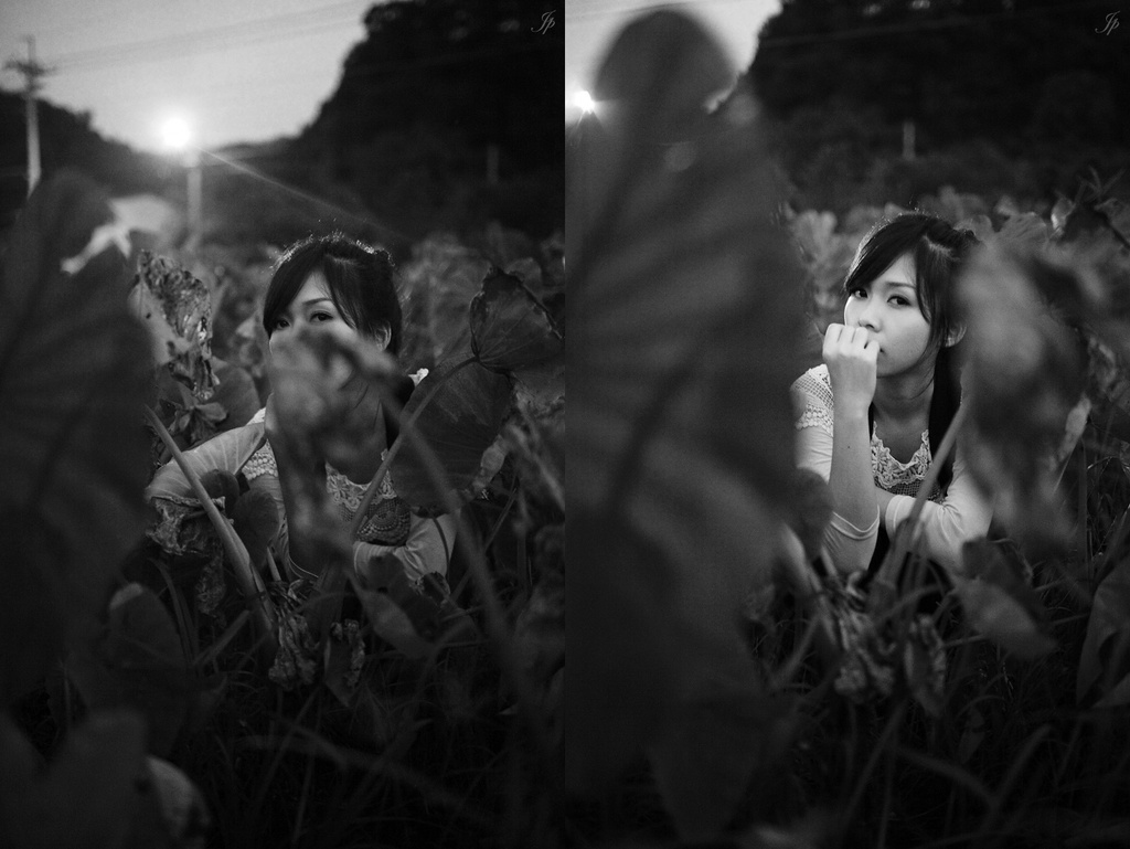 5044467395_f0a278c785_o