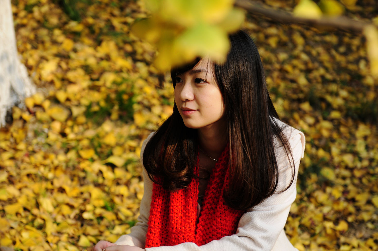 d722297a8e5d928becfe7ad69c1add0c