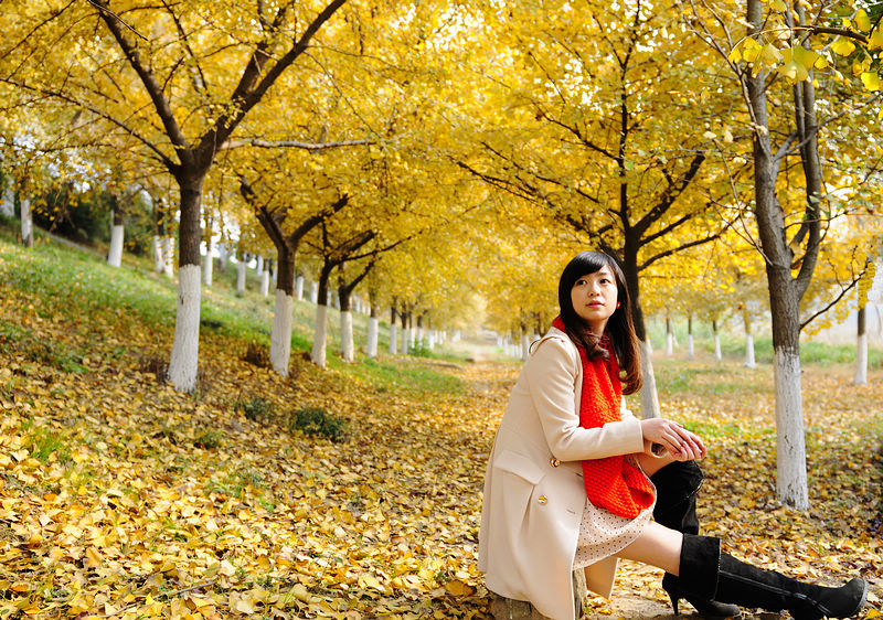 ec38848df79e05072e6815461f3914a1