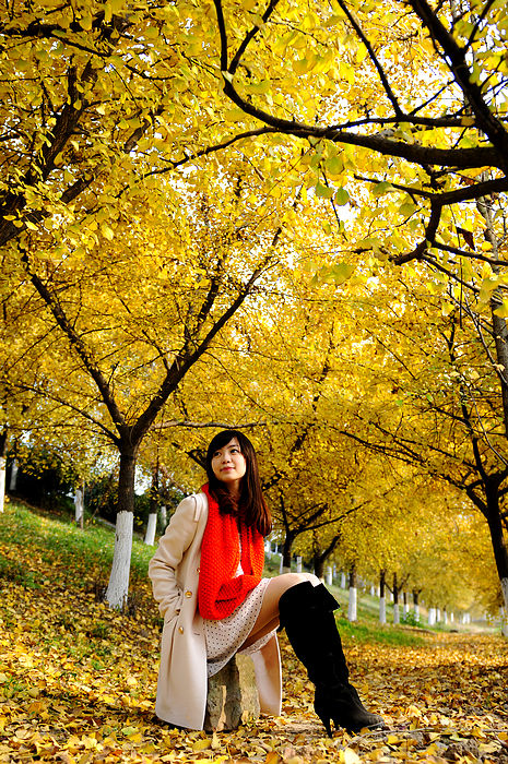 519d220025d657215228ea9e4397c2c0