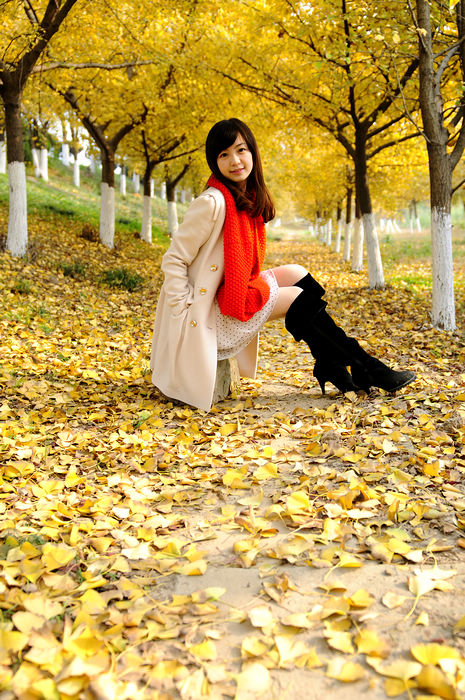 7b0bd8b805d37d9fe58b52c12c1c154b