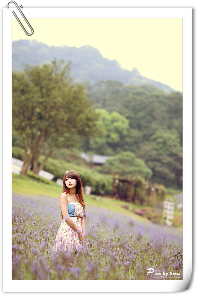 5660304296_cbb3c675cb_b