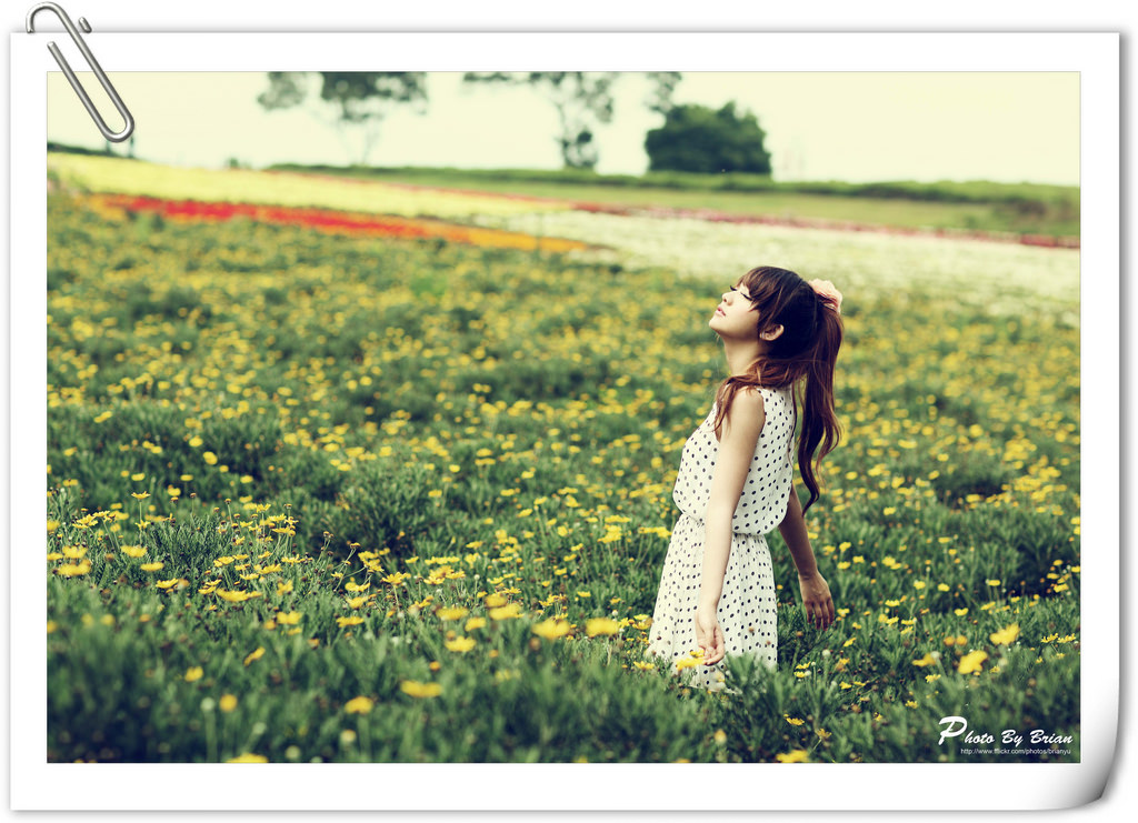 5660309210_90699a8e22_b