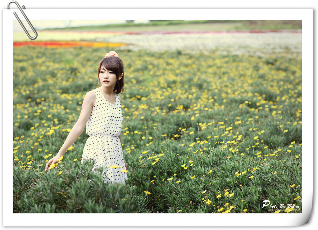 5660309504_2392ae8cfc_b