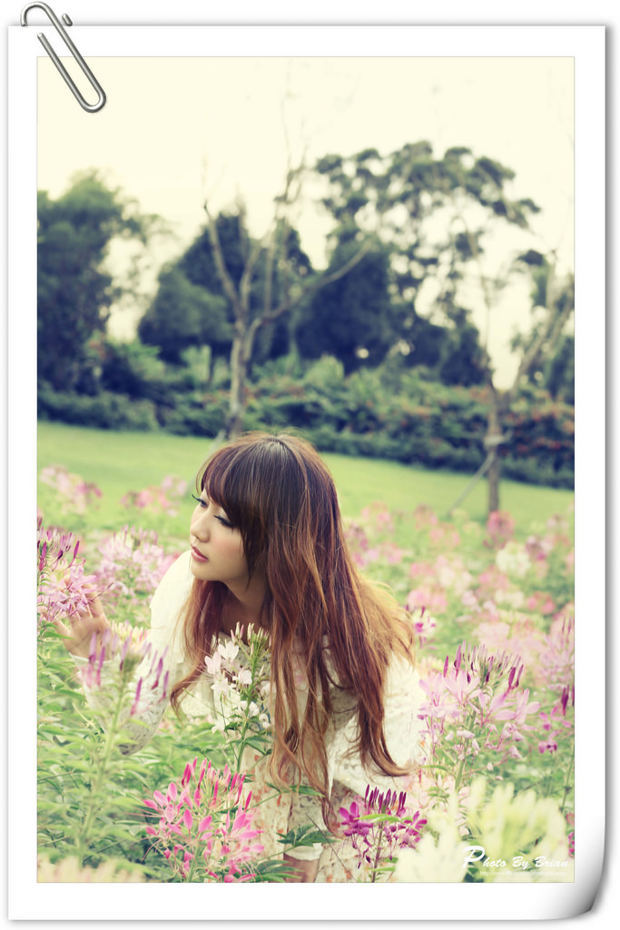 5660310932_9eef16d04d_b