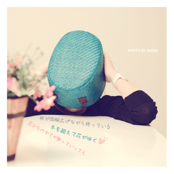 43cd0b7611f5da8988d166962fcc10f3