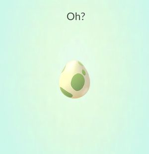 pokemon-go-hatch-egg-nothing-to-do_02