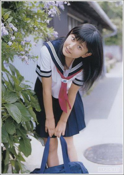 191245gp1331favxoxzb13