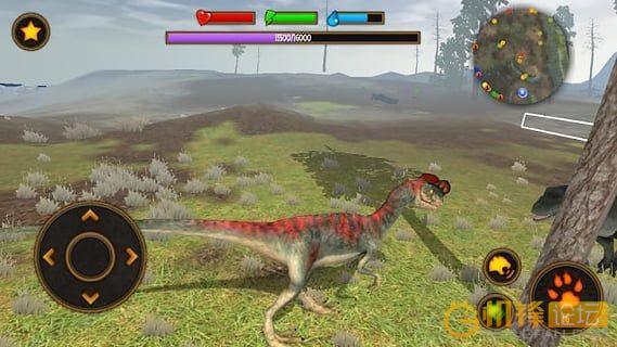 214507owakimamt5w5pr3k.jpg.thumb