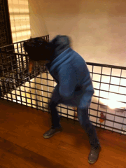 100849dwpvqhiqpvp2vmtm