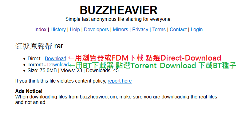 BUZZHEAVIER下載教學02.png