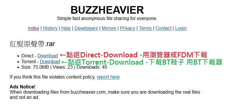 BUZZHEAVIER下載教學02-02.png