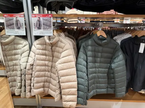 1738810523080-4447b5a1744346c18e0b73b711e28a39-500x375