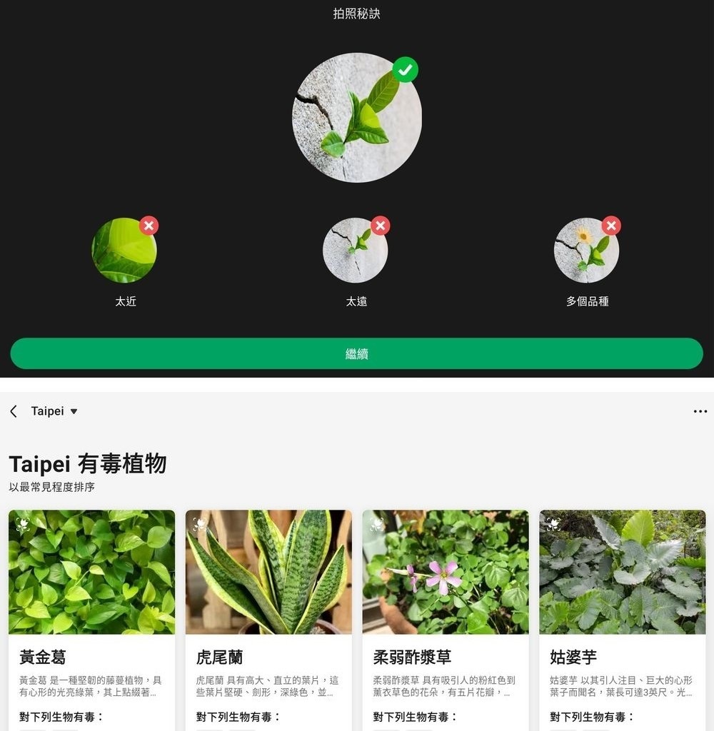 235823icz95ca9at99995c