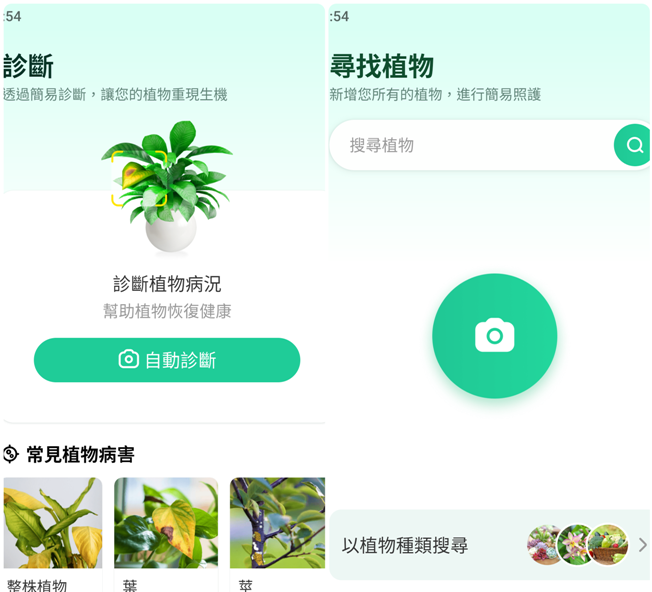 175831c559t5d9gtsxw1ed