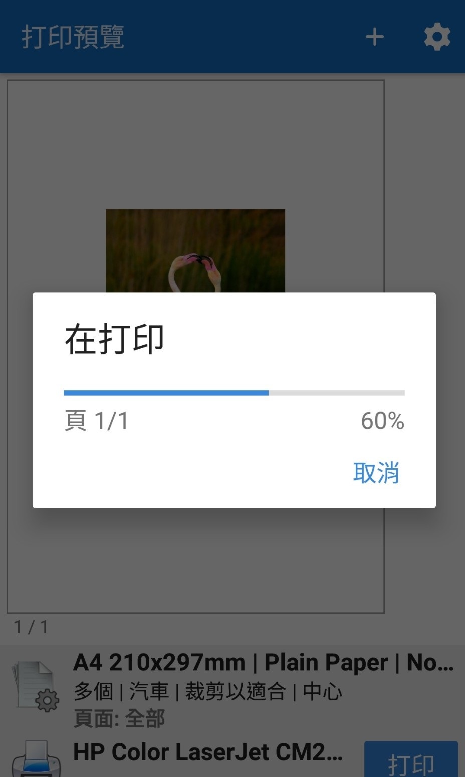 174217mnf4i20wf103fn3n