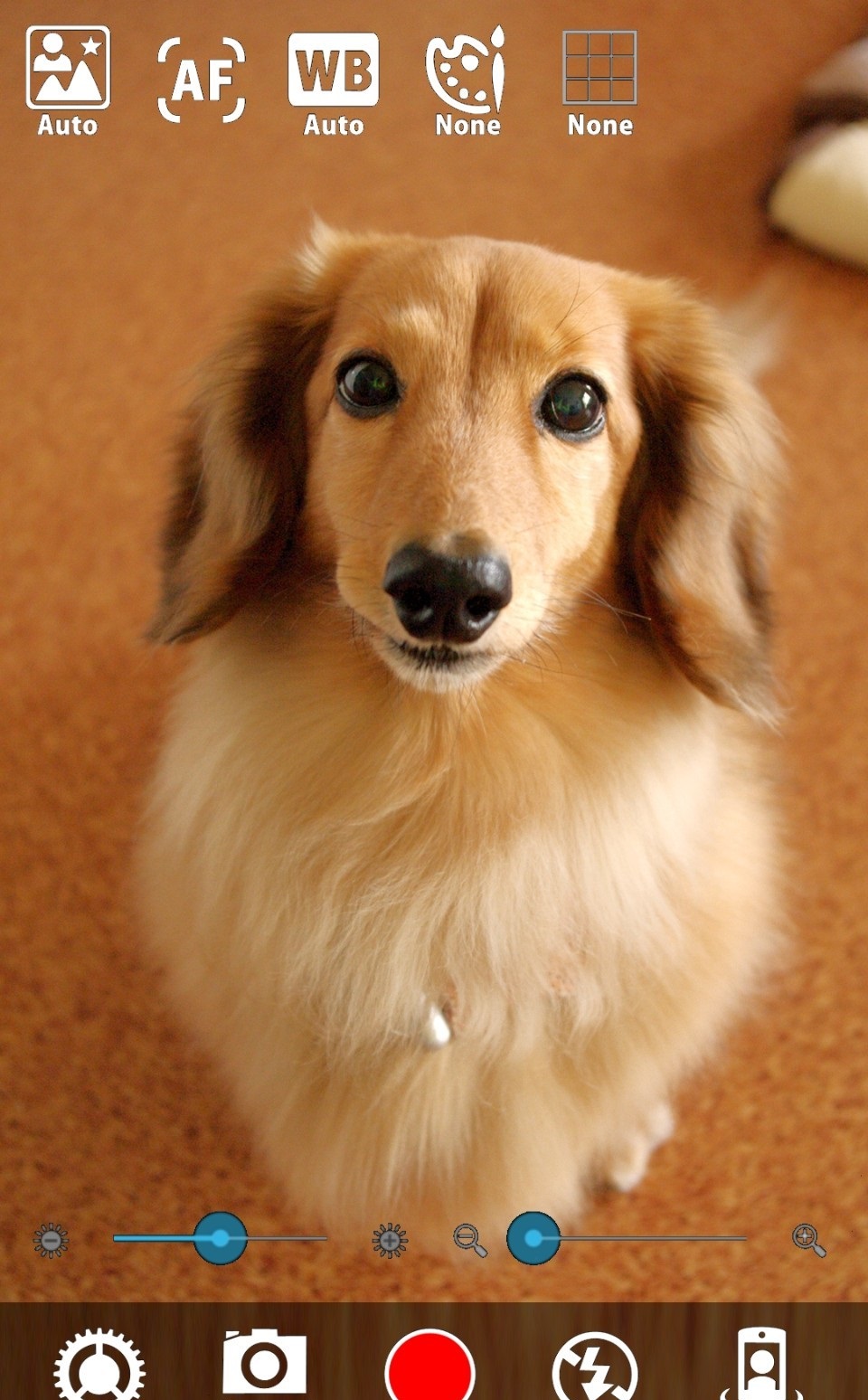 170121qn6tgjw4668tfc6y