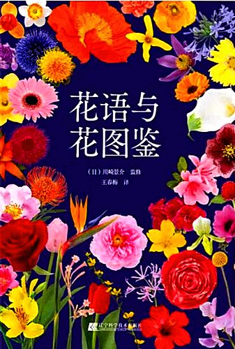 Flower-Language-Flower-Illustrations