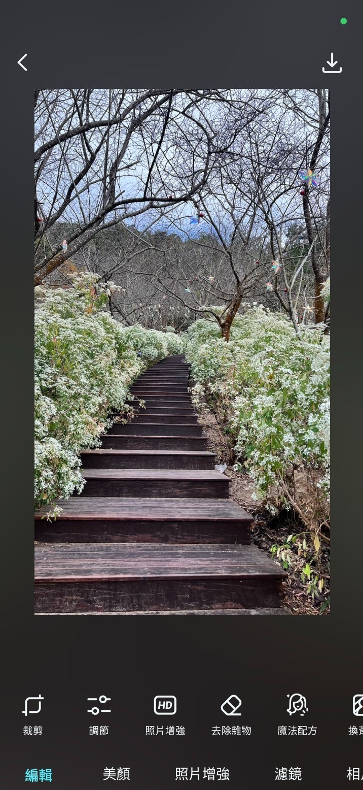 191218a6mo2koc6k6w2pcz