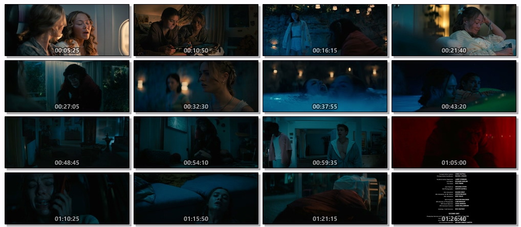 xing-feng-xue-yu-2025-mkv