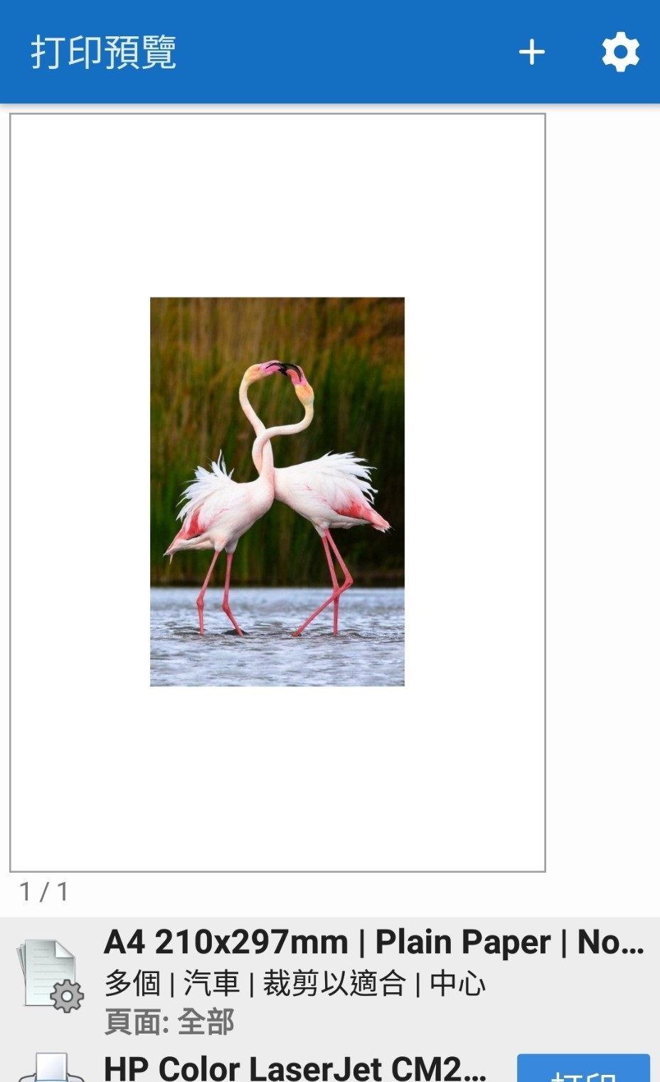 172017ghfzwu8ffsf7oz7z