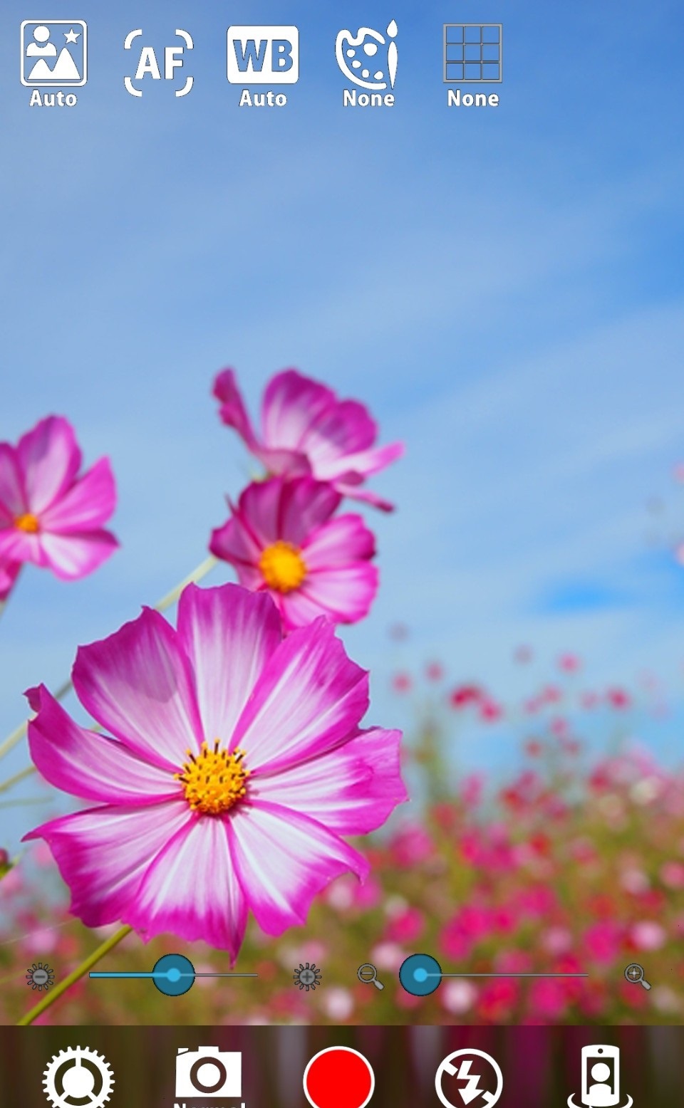 171429ht6ax767o66tr4tm