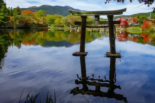 1706495485878-26348b7783c841b195e8d4c4509754b6-500x333