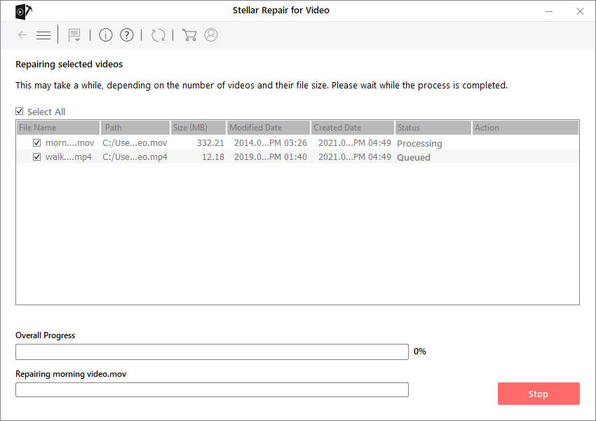 Stellar-Repair-for-Video-v6-m3