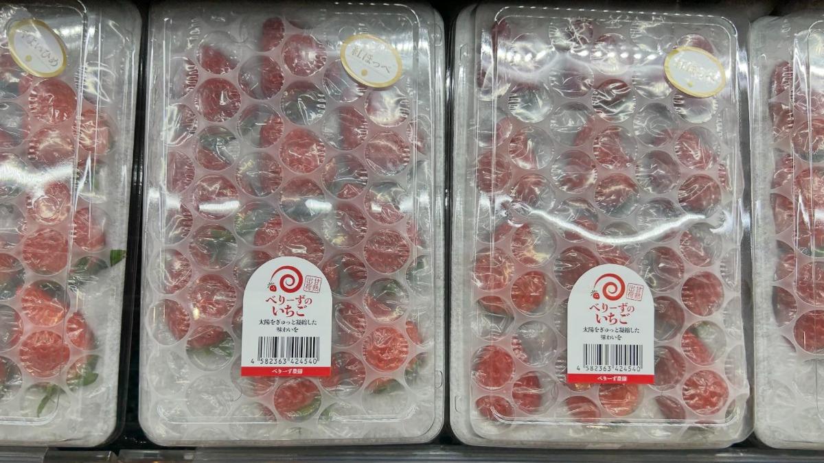 20260317135134-9d0ba262