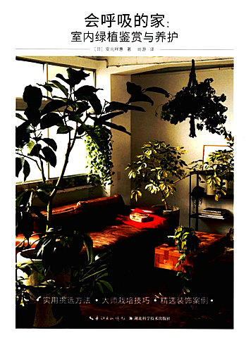 Indoor-Plants-Appreciation