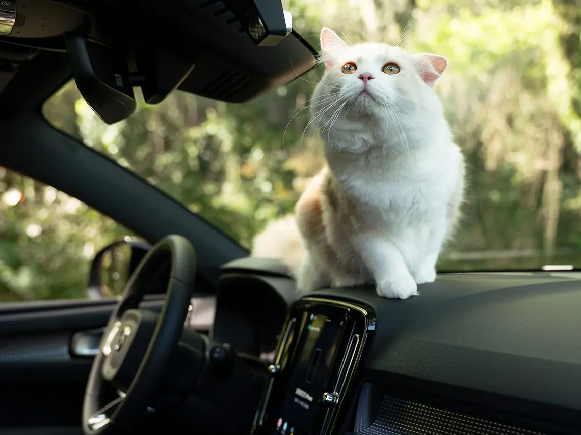 1775032098959-216c5f8346244b0d8335a504f06137dc-1140x855