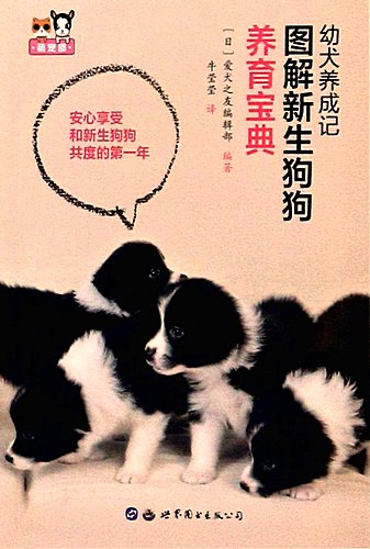 Puppy-Development-Notes