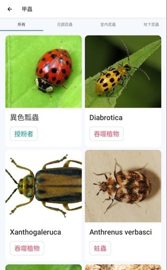 190943b61xdwtw4zw654hz