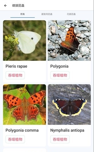 190943fdxiuueieqedxddx