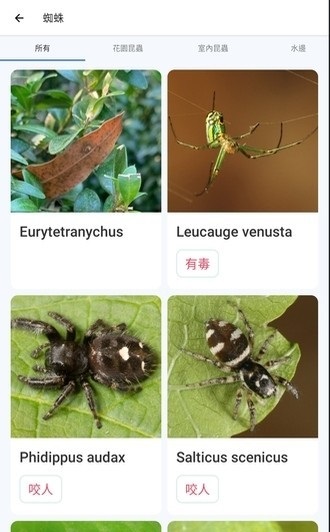 190944ovxdthh908d9x8bz