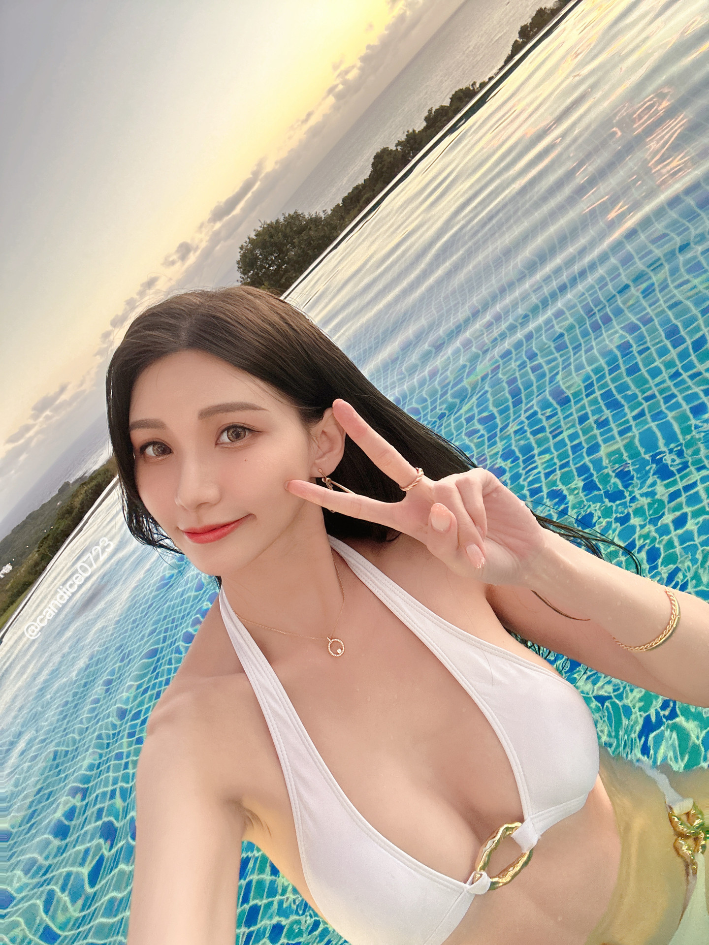 ia_100000156.jpg