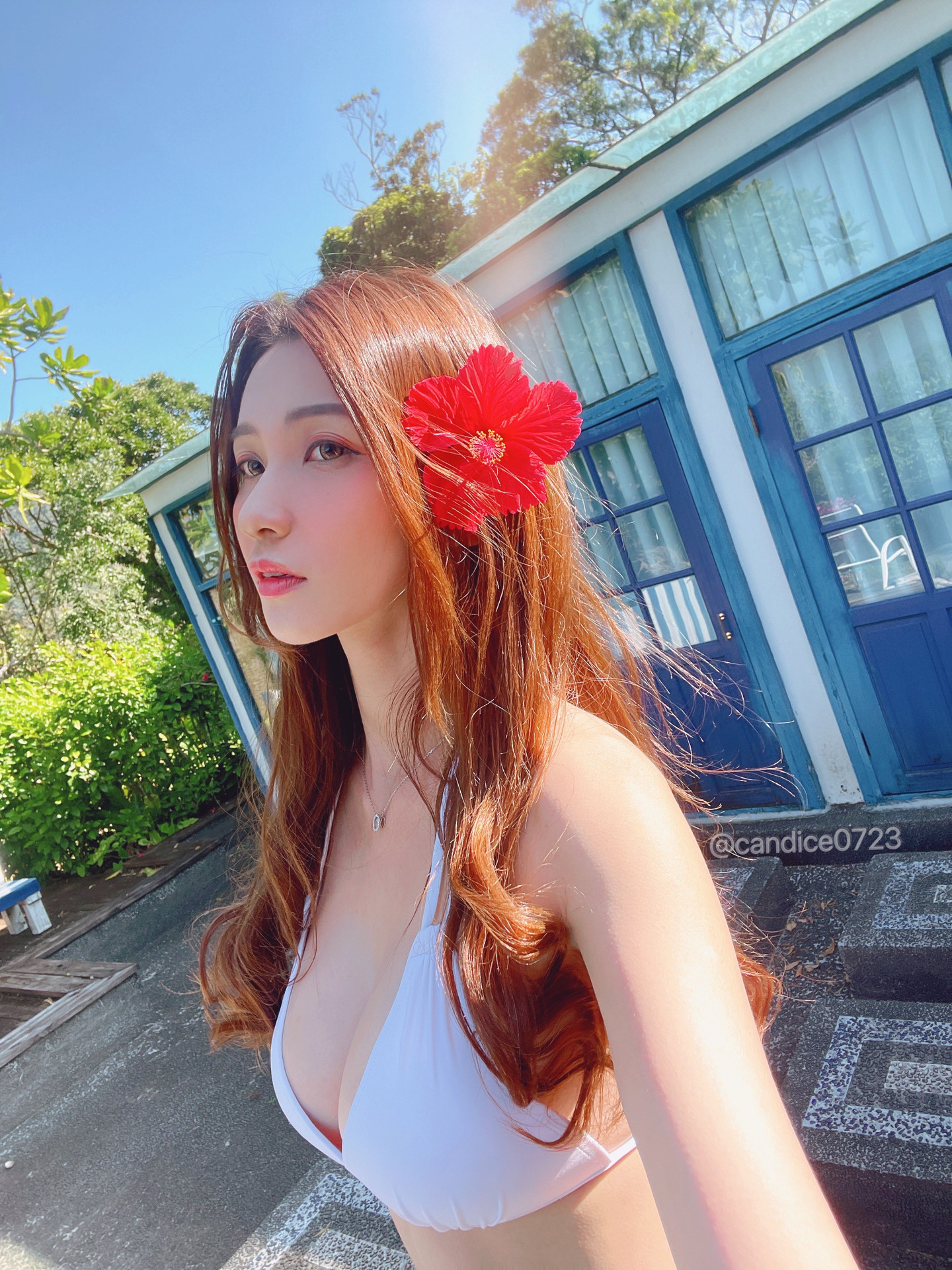 ia_100000183.jpg
