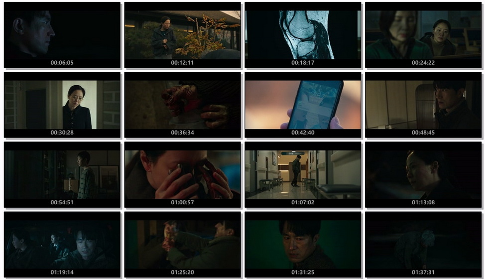 mo-gui-jiao-yi-The-Favore-C