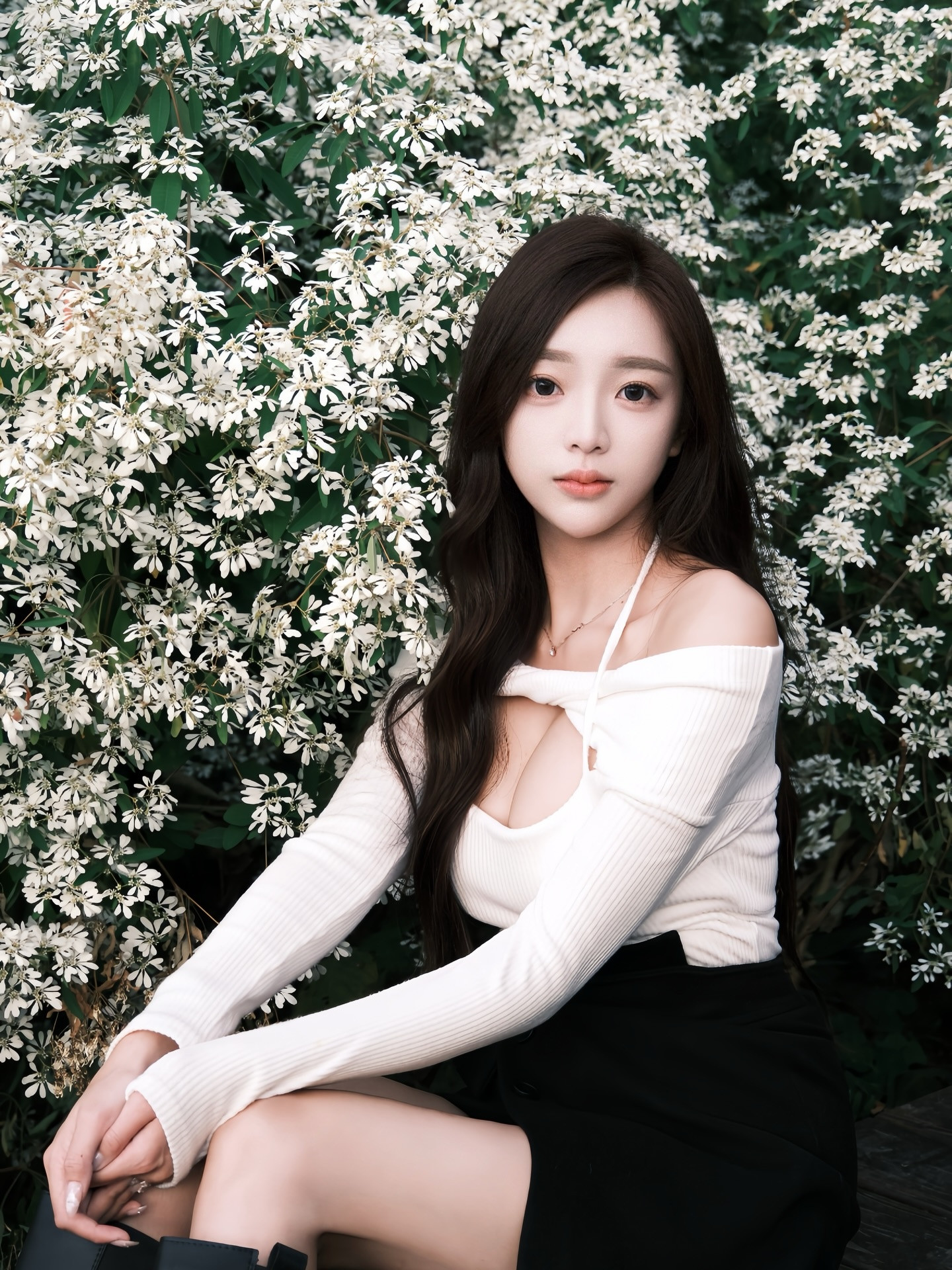 ia_100000013771.jpg