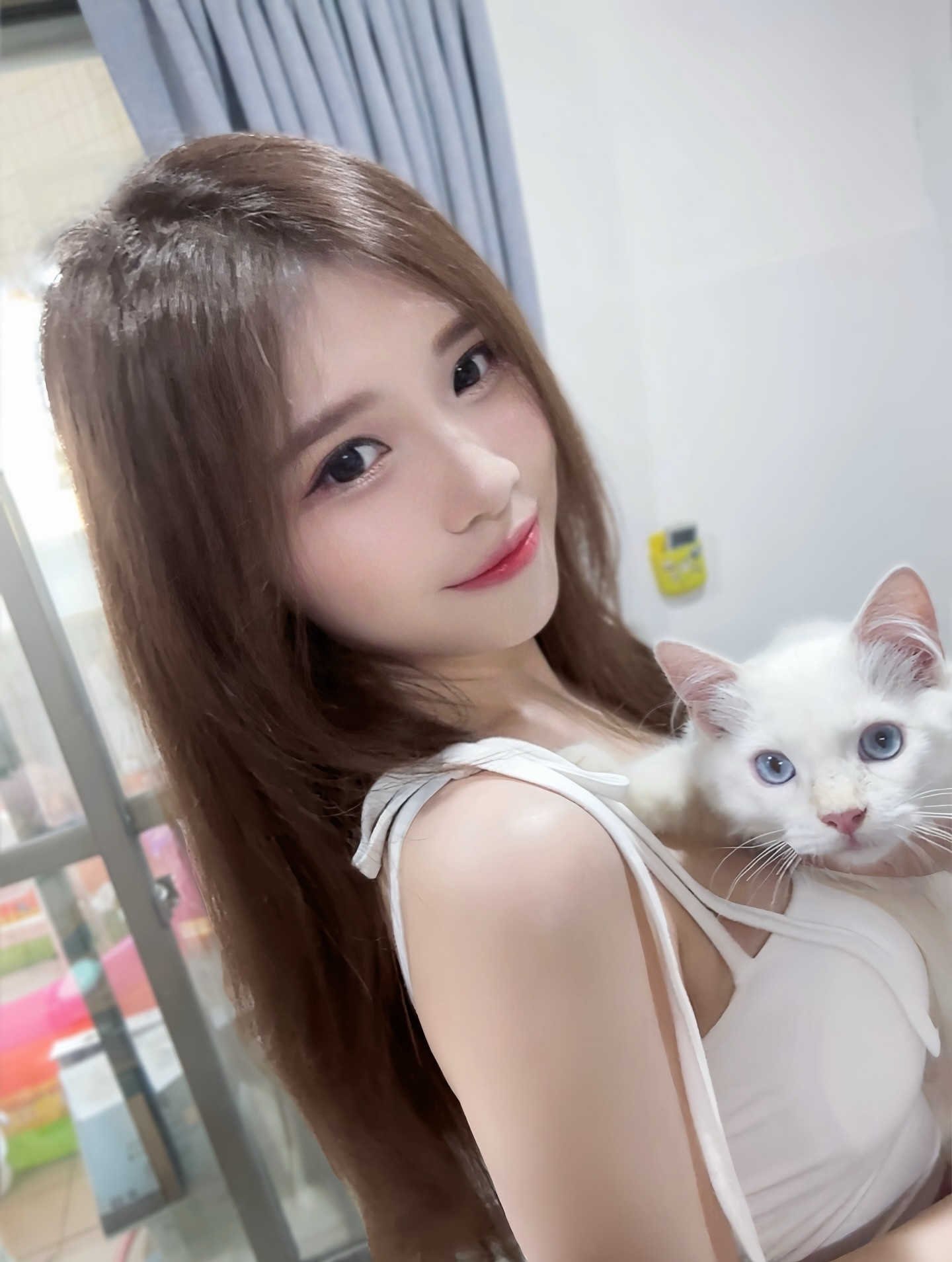 ia_100000017804.jpg