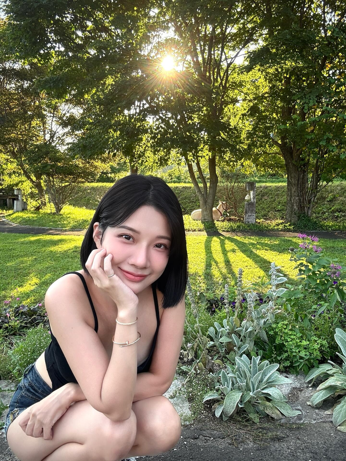 ia_100000012174.jpg