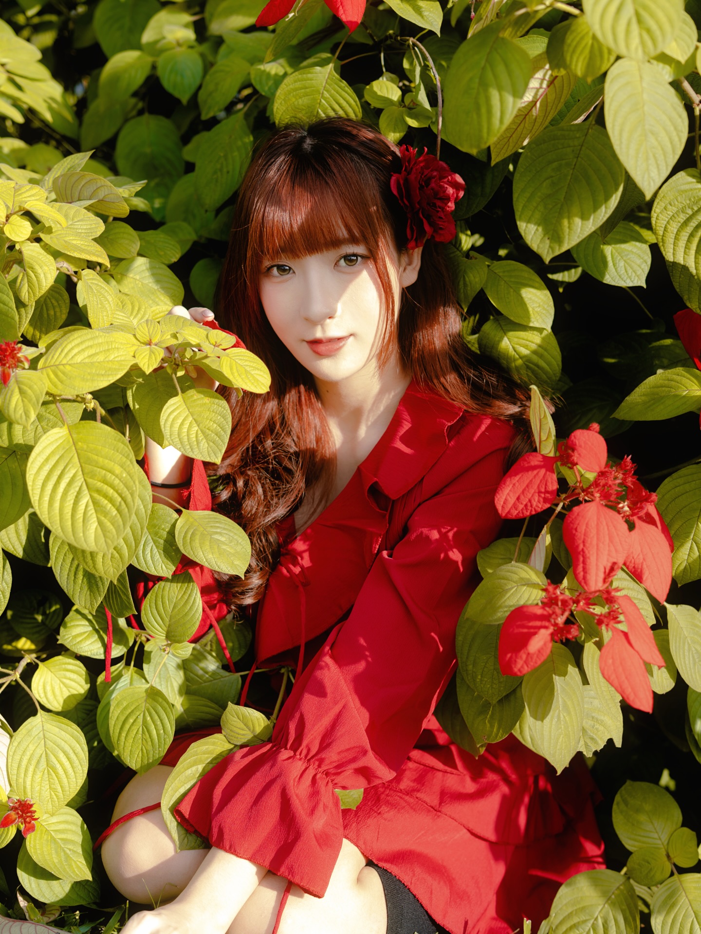 ia_100000041518.jpg