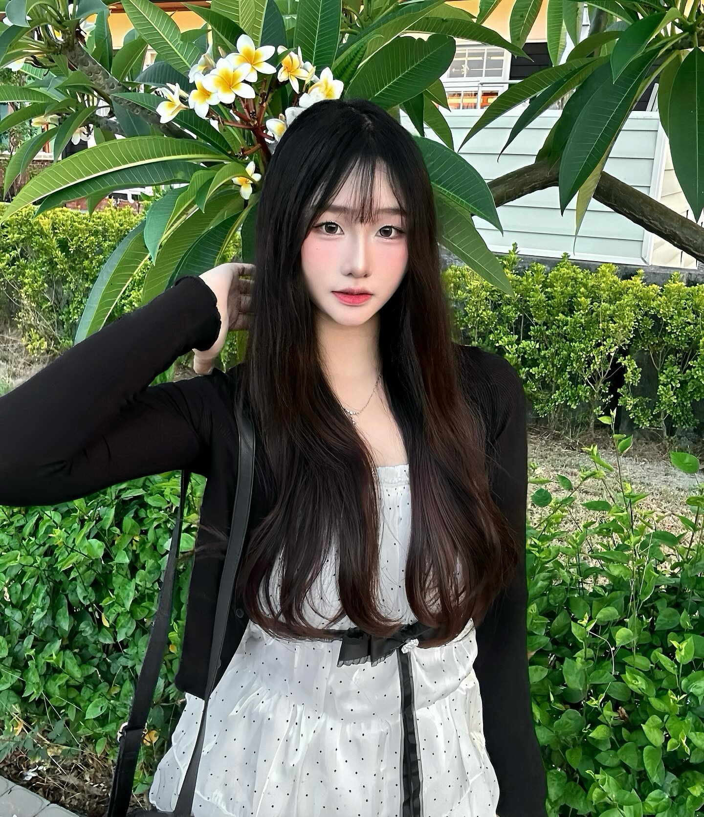 ia_100000018547.jpg