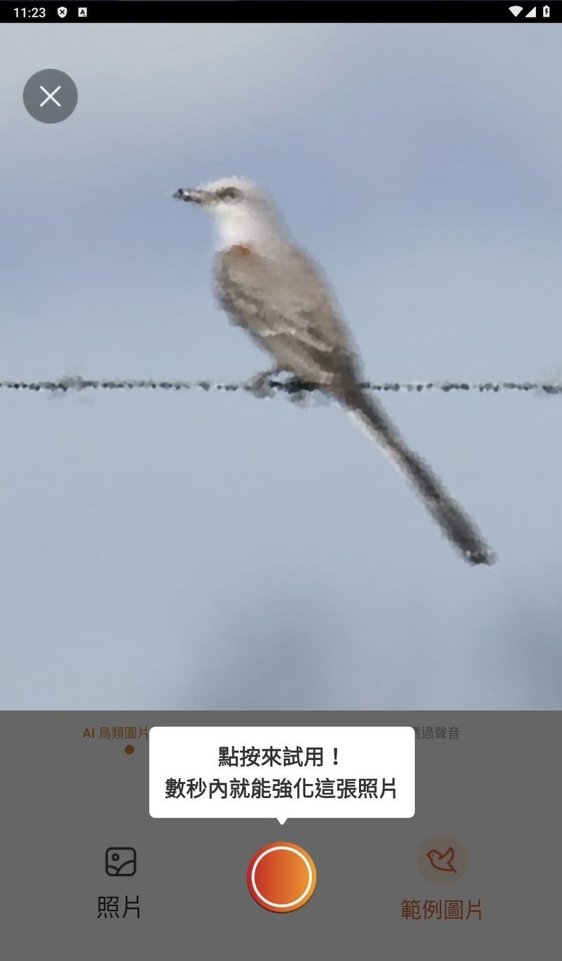 173203ryfaw4crc496bb3y