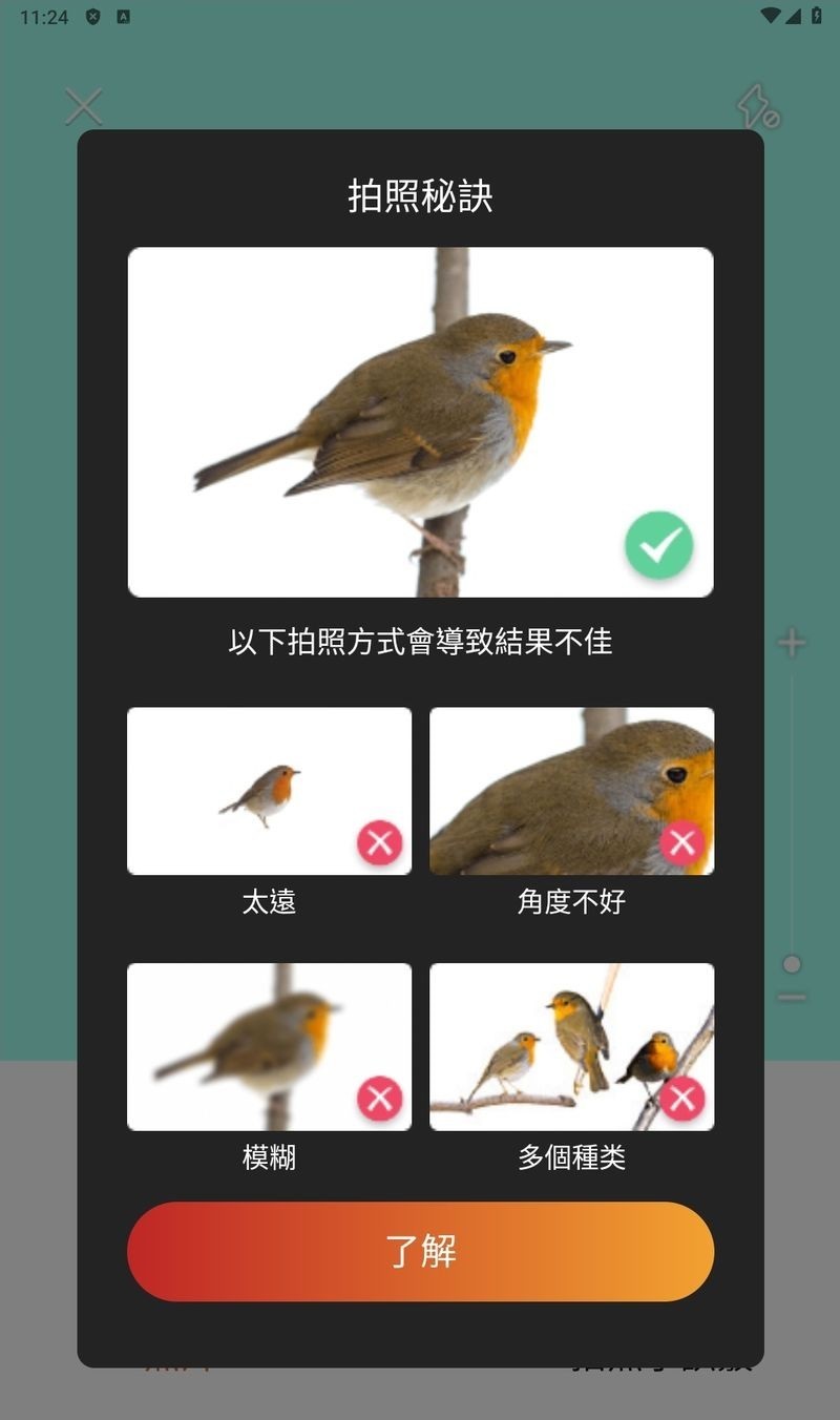 173203ieo6oemj6nemayo6