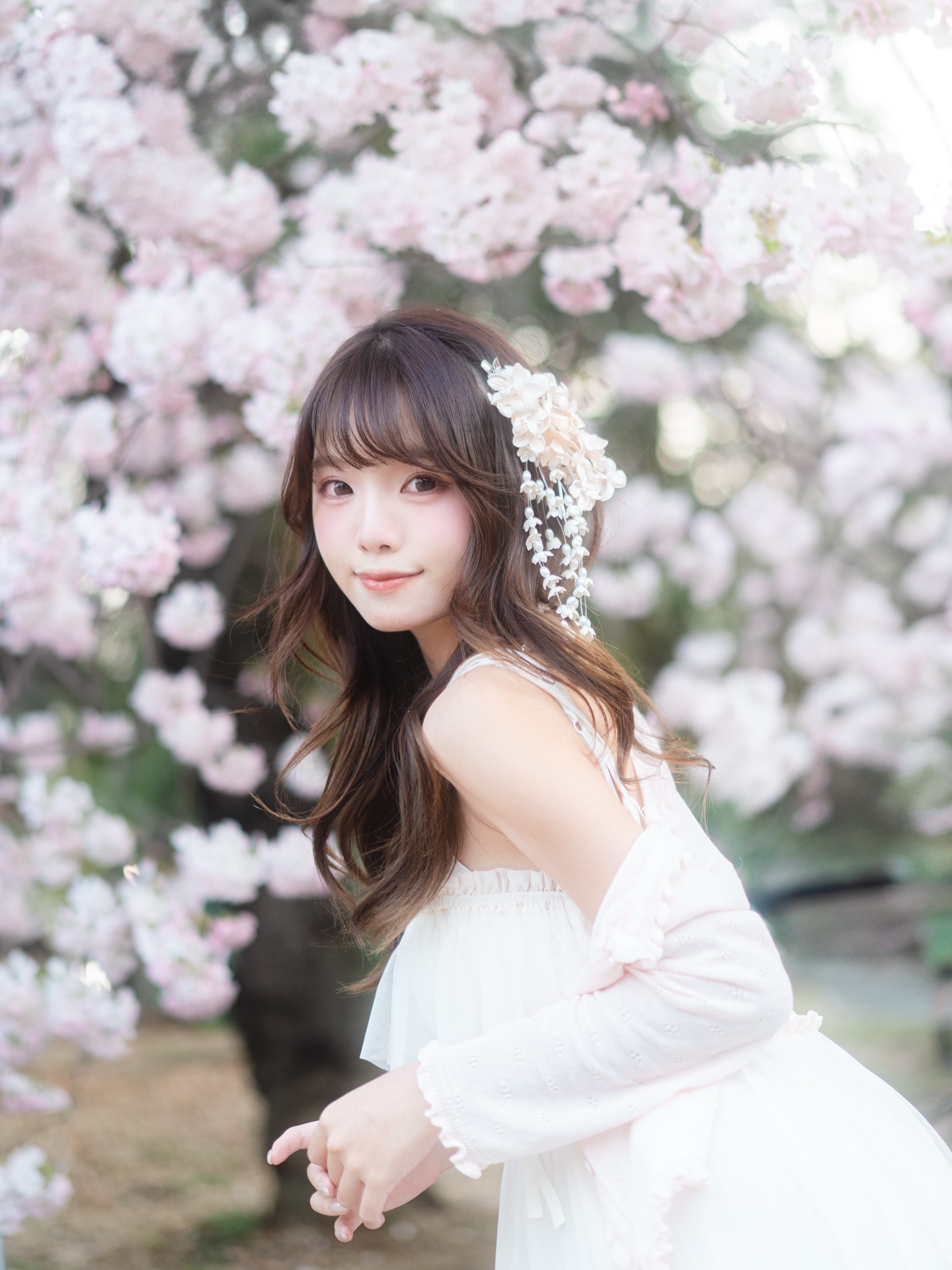 ia_100000029786.jpg