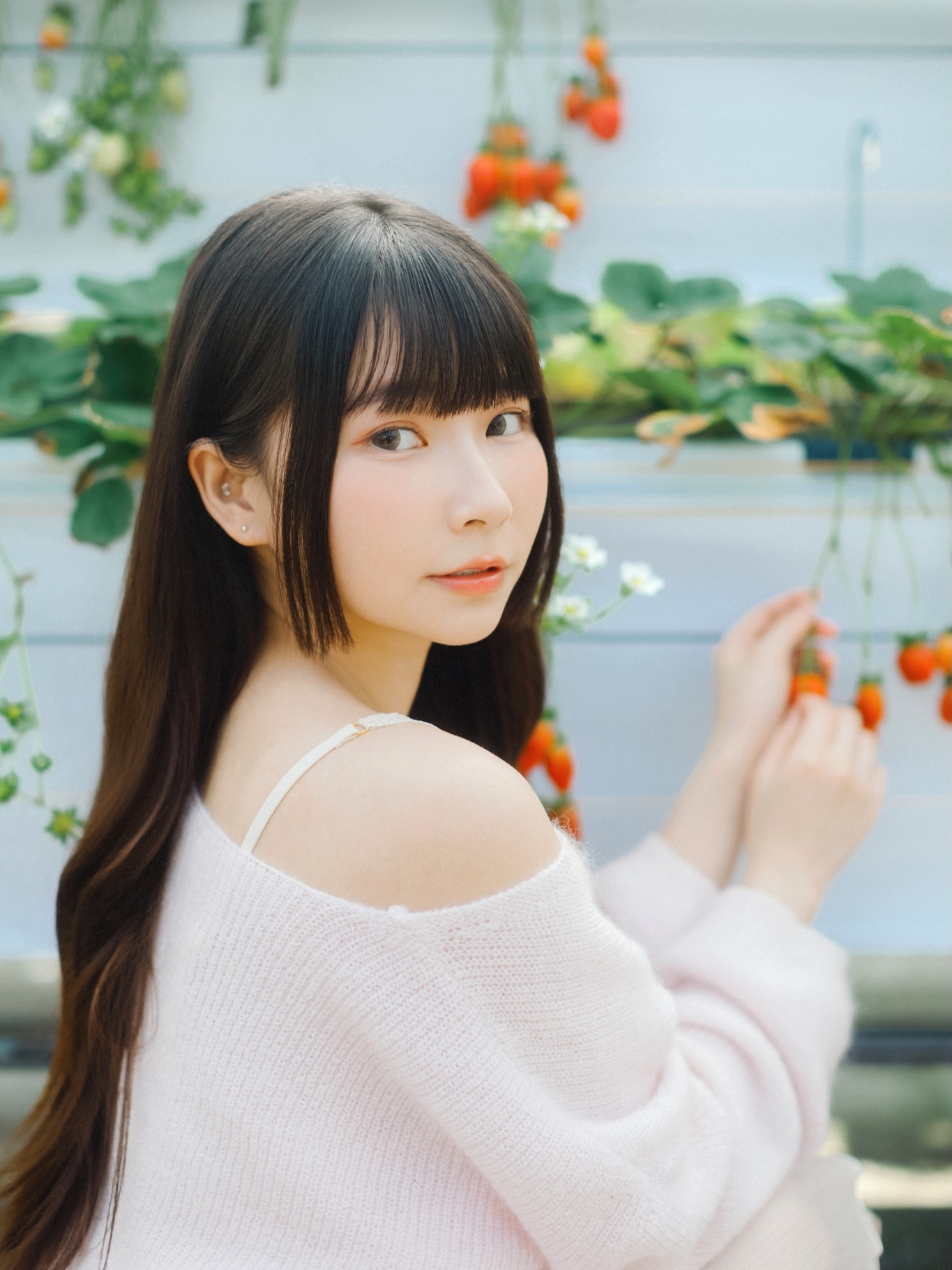 ia_100000043059.jpg
